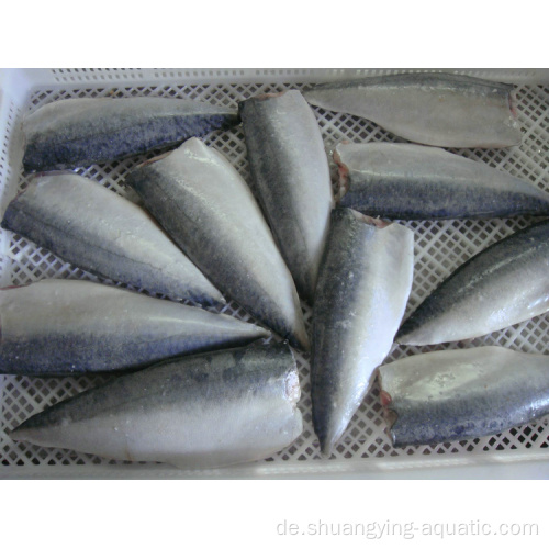 Pacific Makrelengefrorene Makrele Fischfilet Meeresfrüchte